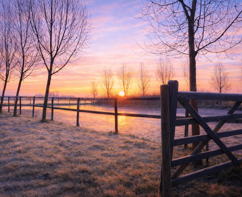 Zonsopgang